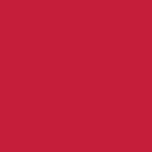 FLOCK 2122 CARDINAL