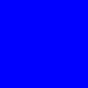 FLOCK 2200 BLUE