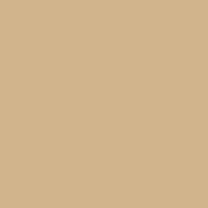 FLOCK 2402 TAN